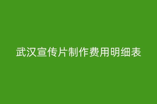 武汉宣传片制作费用明细表