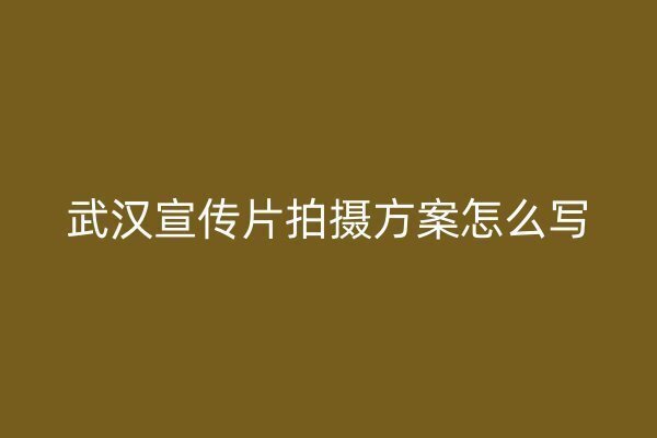 武汉宣传片拍摄方案怎么写插图 武汉宣传片拍摄方案怎么写插图