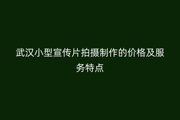 武汉小型宣传片拍摄制作的价格及服务特点