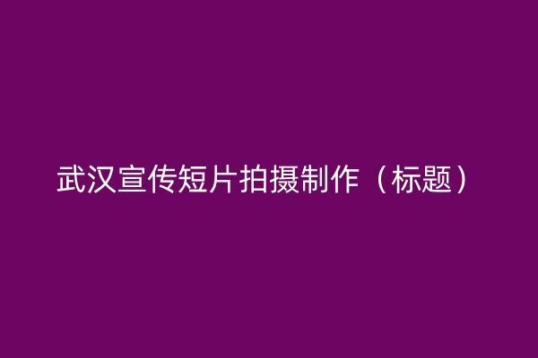 武汉宣传短片拍摄制作插图 武汉宣传短片拍摄制作插图