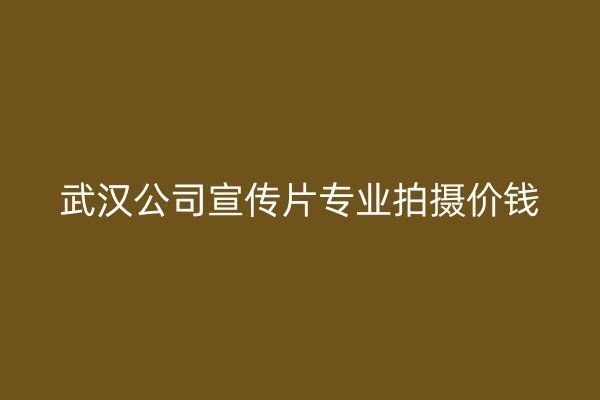 武汉公司宣传片专业拍摄价钱插图 武汉公司宣传片专业拍摄价钱插图